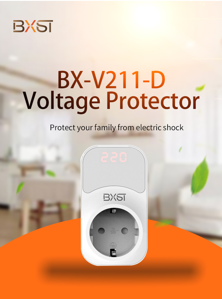 Detalhe do protetor de vlotage (1)