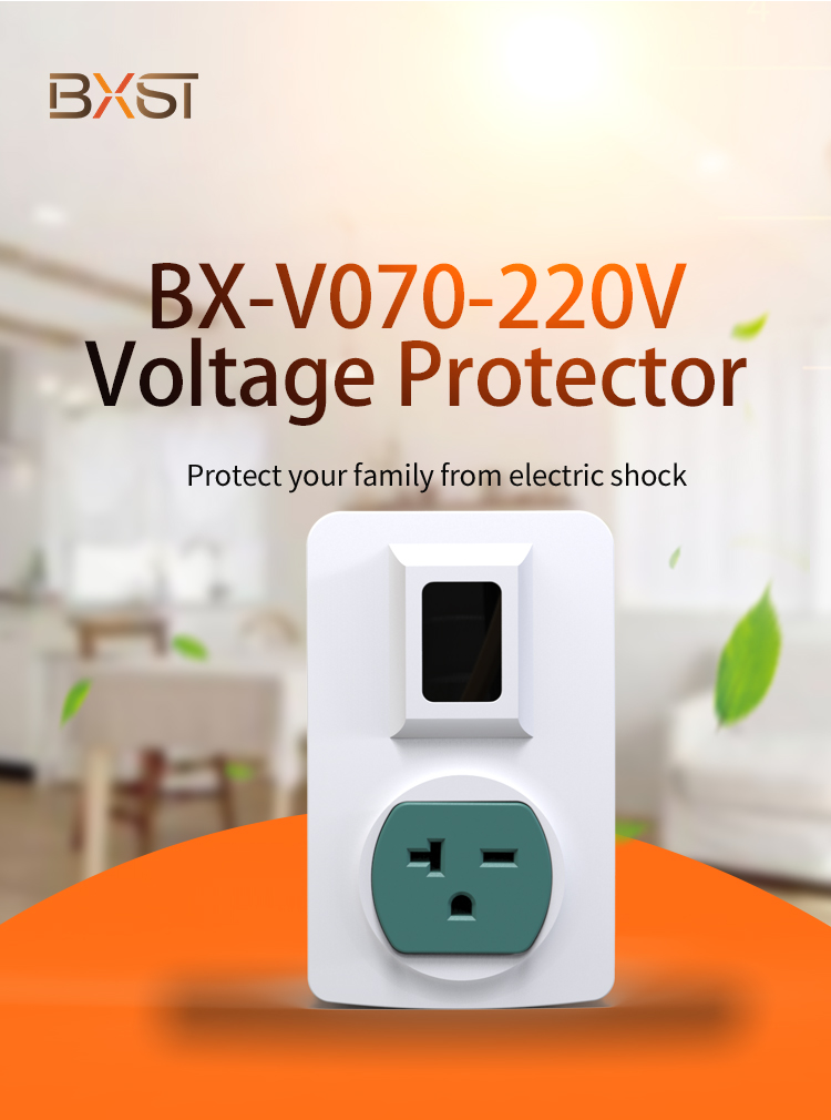 Detalhes do protetor de vlotage (2)