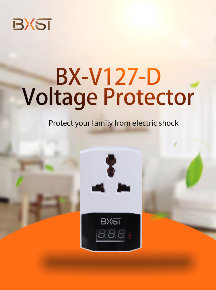 VLOTAGE-PROTETOR-DETAIL- (10) _01