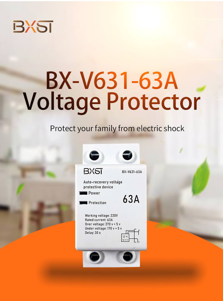 Detalhe do protetor de vlotage (1)